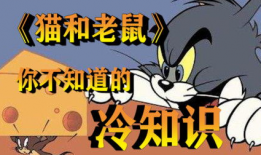 汤姆视频,揭秘日常生活小技巧，轻松提升生活品质